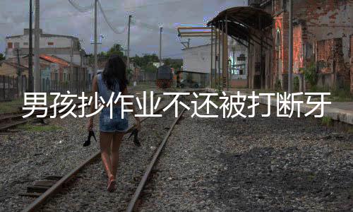 男孩抄作业不还被打断牙后起诉同学