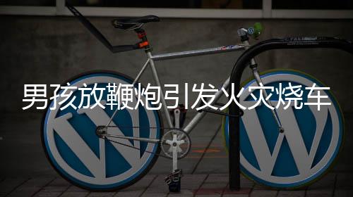 男孩放鞭炮引发火灾烧车，监护人被判全责