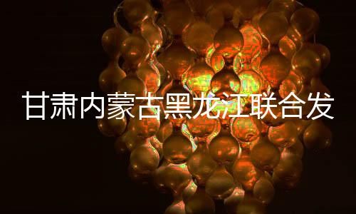 甘肃内蒙古黑龙江联合发现大型金矿，探寻金矿宝藏的征途新篇章