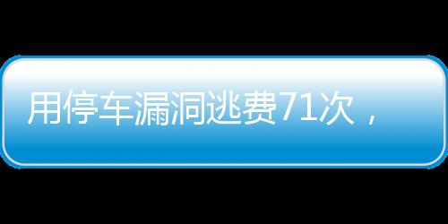 用停车漏洞逃费71次，违法行为的警示与反思