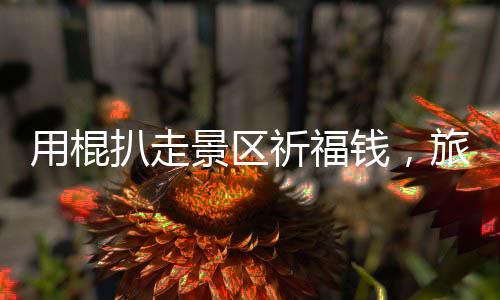 用棍扒走景区祈福钱，旅游景区内发生的一起恶劣事件