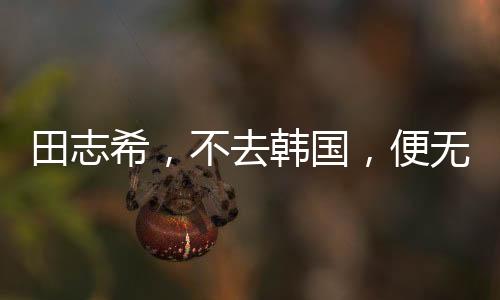 田志希，不去韩国，便无乒乓球生涯