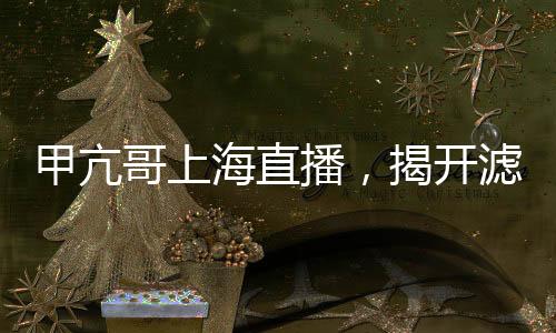 甲亢哥上海直播，揭开滤镜背后的真实中国