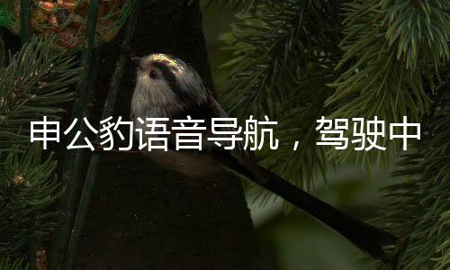 申公豹语音导航，驾驶中的扣分王 120分都不够扣的