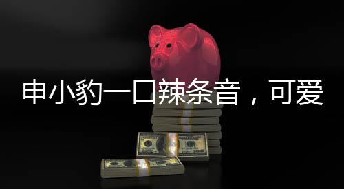 申小豹一口辣条音，可爱形象瞬间爆红