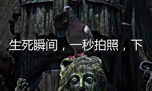 生死瞬间，一秒拍照，下一秒被撞飞