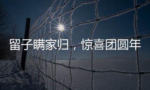 留子瞒家归，惊喜团圆年