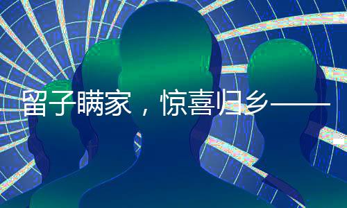 留子瞒家，惊喜归乡——一场温馨的过年团圆