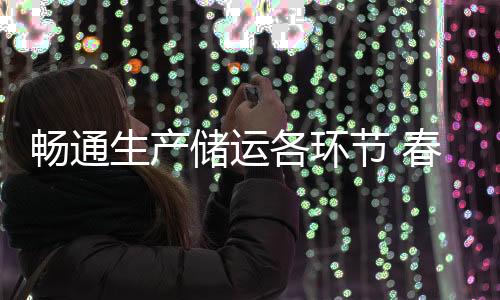 畅通生产储运各环节 春节前蔬菜市场供应足价格稳