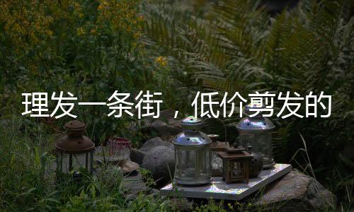 理发一条街，低价剪发的魅力与挑战