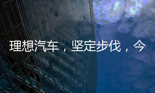 理想汽车，坚定步伐，今年纯电SUV即将问世