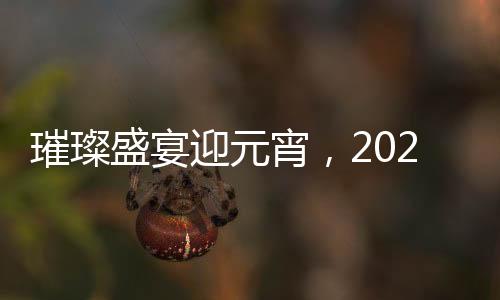 璀璨盛宴迎元宵，2025江苏卫视元宵晚会全景解析