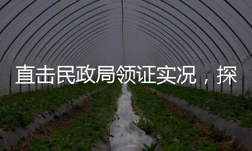 直击民政局领证实况，探访婚姻登记现场
