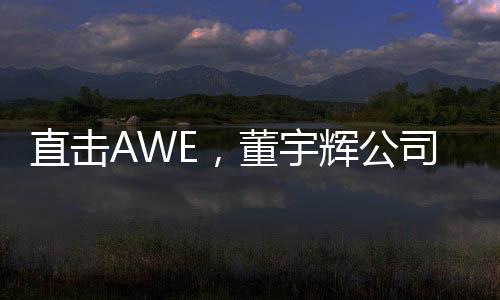 直击AWE，董宇辉公司一日带货超1亿——科技巨头的新零售奇迹
