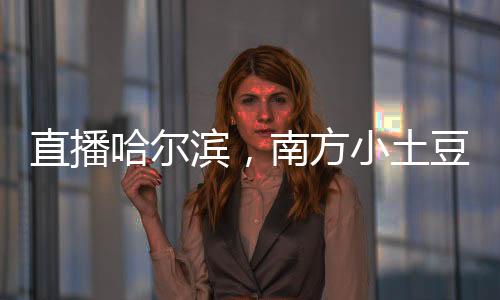 直播哈尔滨，南方小土豆被宠哭了