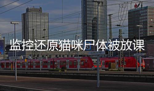 监控还原猫咪尸体被放课桌事件全记录