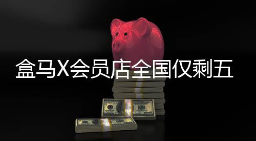 盒马X会员店全国仅剩五家，零售变革下的新局面分析