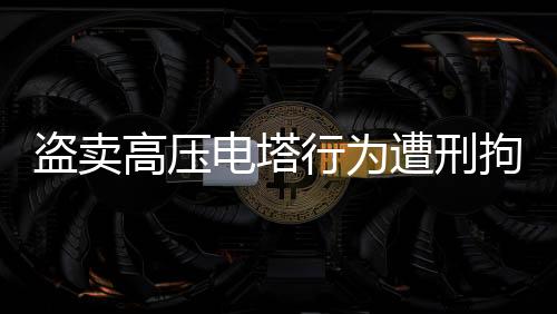 盗卖高压电塔行为遭刑拘，一起涉及重大安全问题的案件