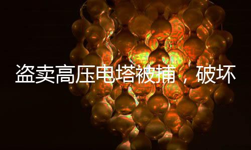 盗卖高压电塔被捕，破坏公共设施将面临严厉法律制裁