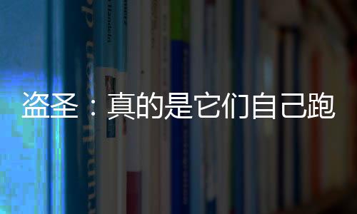 盗圣：真的是它们自己跑过来的
