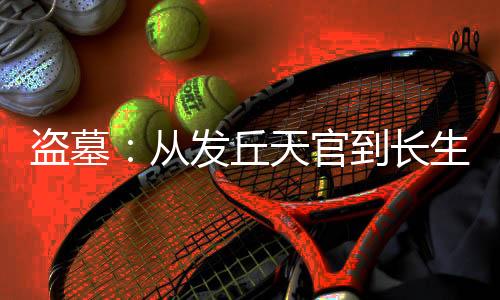 盗墓：从发丘天官到长生！
