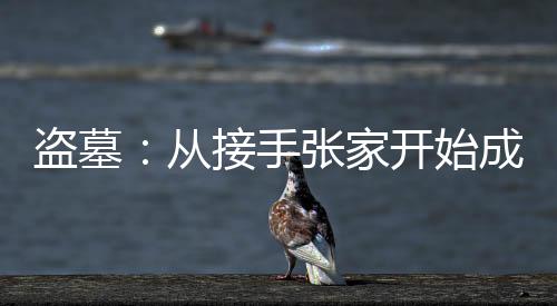 盗墓：从接手张家开始成神！