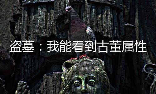 盗墓：我能看到古董属性