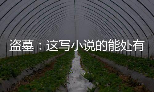 盗墓：这写小说的能处有墓他真盗