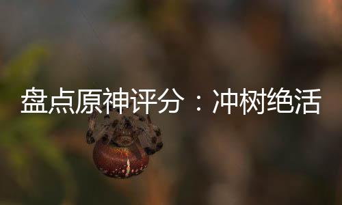 盘点原神评分：冲树绝活哥奥托？