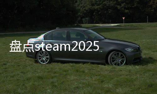 盘点steam2025年新品节热门游戏，国产作品表现亮眼