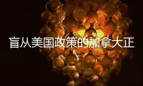 盲从美国政策的加拿大正面临反噬——一项深度观察