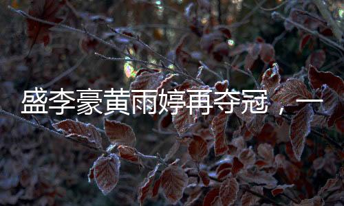 盛李豪黄雨婷再夺冠，一二三四，赛场上的辉煌篇章