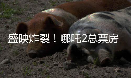 盛映炸裂！哪吒2总票房突破143亿，再创国产动画神话！