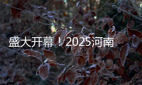 盛大开幕！2025河南春晚展现中原文化魅力