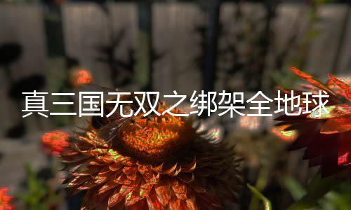 真三国无双之绑架全地球