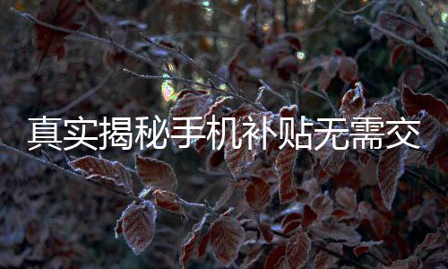 真实揭秘手机补贴无需交旧手机，利好政策温暖人心