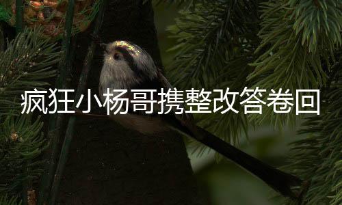 疯狂小杨哥携整改答卷回归，全面自我革新，再展网红风采