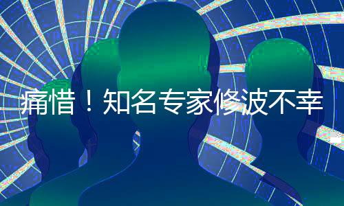 痛惜！知名专家修波不幸离世，享年XX岁，回忆其一生贡献