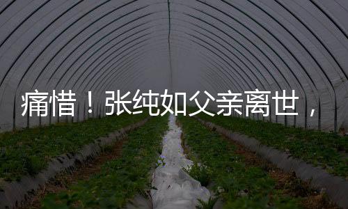 痛惜！张纯如父亲离世，留下一生的教育痕迹与深刻思考