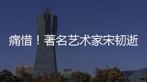 痛惜！著名艺术家宋韧逝世