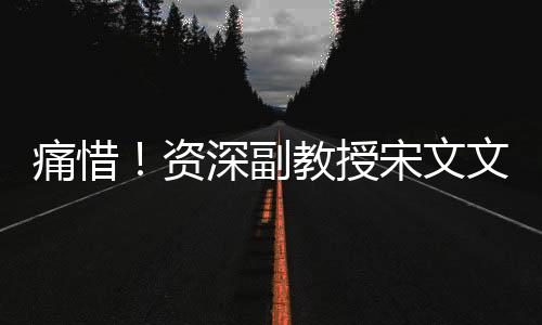 痛惜！资深副教授宋文文英年早逝