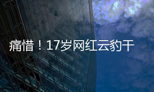 痛惜！17岁网红云豹干干离世，悼念一颗闪耀星辰的陨落