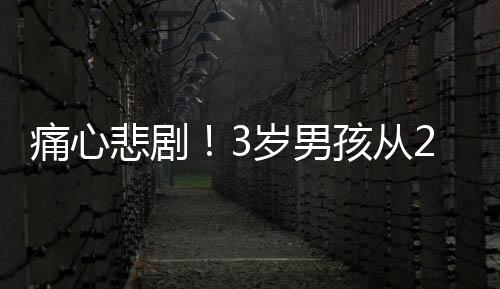 痛心悲剧！3岁男孩从27楼走廊坠亡