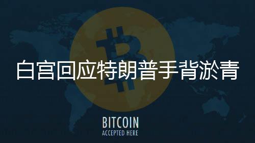 白宫回应特朗普手背淤青，握手太多，引发各界热议