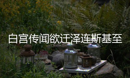 白宫传闻欲迁泽连斯基至法国，背后的原因与国际局势解析