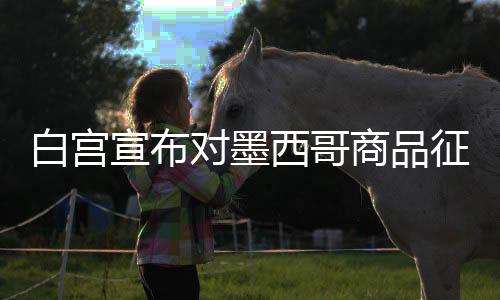 白宫宣布对墨西哥商品征收25%关税，全球贸易关系面临新的挑战