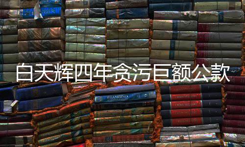 白天辉四年贪污巨额公款揭秘，贪腐深度背后的数字真相