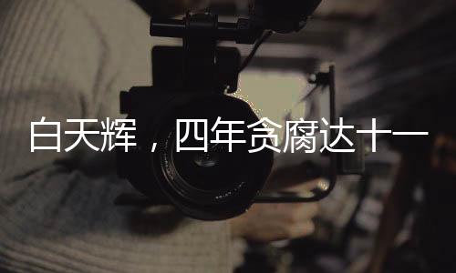 白天辉，四年贪腐达十一亿，终审判决维持死刑