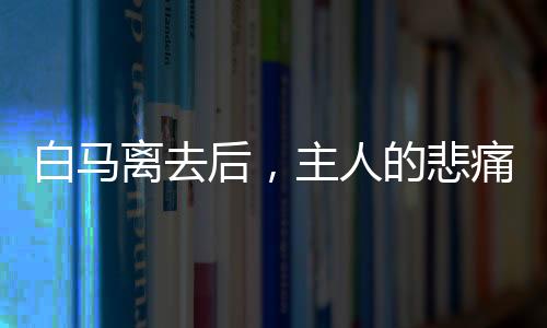 白马离去后，主人的悲痛回忆