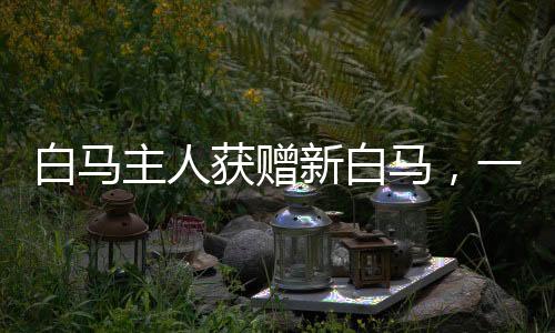 白马主人获赠新白马，一段佳话的传承与续写